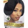 Bigen Easy Color Hair Color Intense Black 2.82 oz