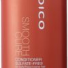 Joico Smooth Cure Sulfate-Free Conditioner Curly Frizzy Hair 16.9oz
