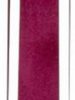Colorevolution Lip Gloss After Party