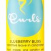 Curls Blueberry Bliss Reparative Leave In Conditioner 8 oz