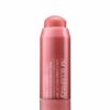 Palladio Im Blushing 2 in 1 Cheek and Lip Tint Dainty BLT03 0.2 oz